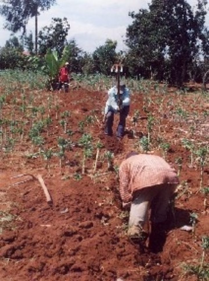 New Hope irrigation project