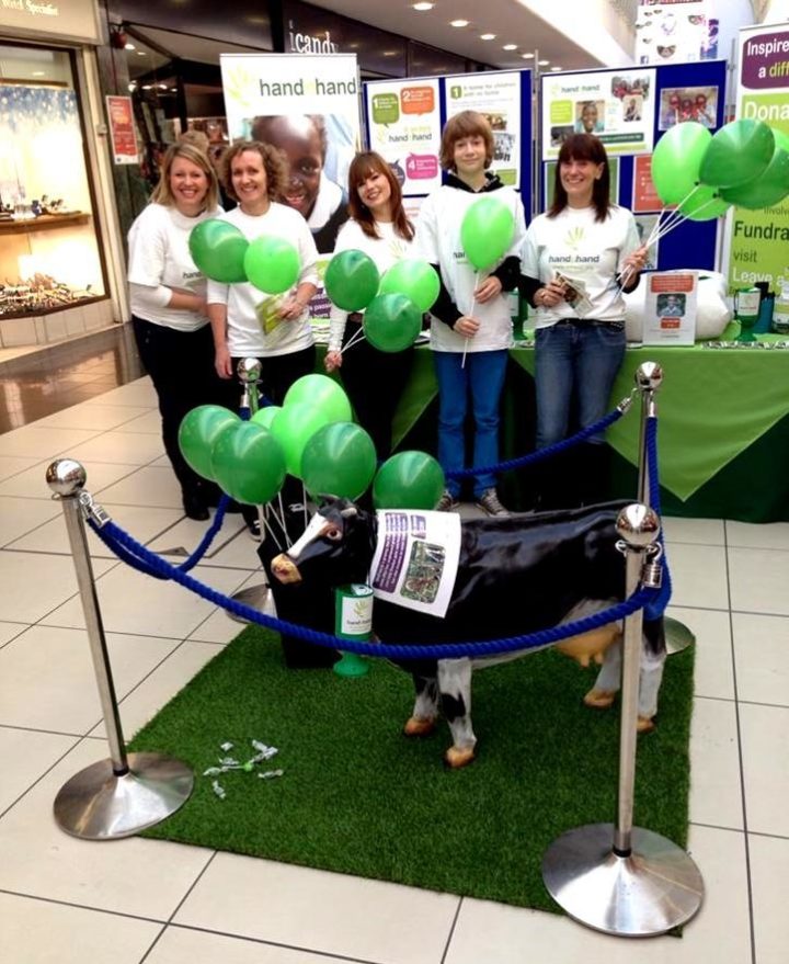 We took a cow shopping!